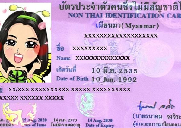 บัตรชมพู-01 บัตรชมพู-01
